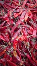 Red Stewed Chili image of india Royalty Free Stock Photo